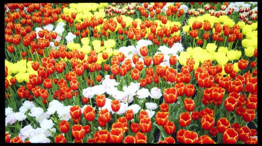 Ликбез от What Hi-Fi. HD-формат 4K2K: Разрешение • Качество • Доступность 