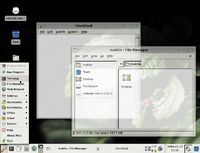 Moblin 2.0 — усеченный вариант Linux, оптимизированный для небольших экранов нетбуков и мобильных Internet-устройств, отличающийся простотой пользовательского интерфейса и улучшенными функциями энергосбережения
