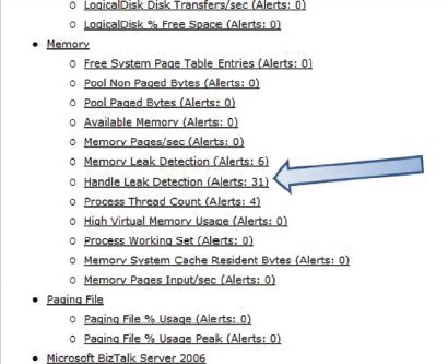Пример отчета PAL с предупреждением об утечке указателей
