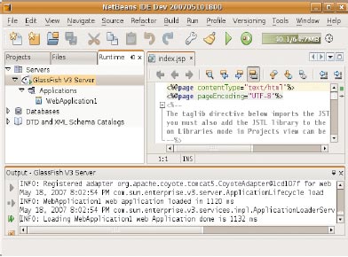 Программное обеспечение GlassFish поставляется в виде исполняемых программ и исходного кода, написанного на языке Java. Продукт интегрирован со средой разработки NetBeans и позволяет разработчикам разворачивать приложения SOA с использованием потоков работ языка описания бизнес-процессов