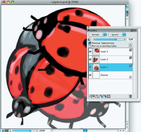 Шаг 4. Поскольку букашка будет не одна, создаем в новом слое новый контур. И так до тех пор, пока количество разных ракурсов не покажется достаточным. Для нашего примера вполне хватит трех изображений 