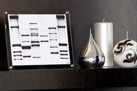 DNA11 создает для своих клиентов высокохудожественные портреты ДНК, которые не стыдно повесить в гостиной или офисе 