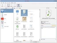 Исходно Nepomuk был рассчитан на свободную среду рабочего стола для Unix-подобных операционных систем KDE. Но программное обеспечение Nepomuk может быть загружено и Windows, Macintosh и Linux, а с некоторыми ограничениями можно подключиться и через Web-страницы, используя Firefox