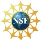 Как финансируется DIC 