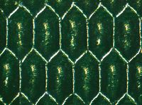 Микрофотография гравировки Maxflo 