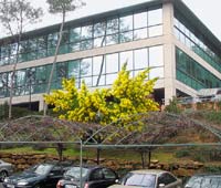 Формально в Софии Антиполис располагается Европейский консорциум по информатике и математике, но во всем мире больше известно название W3C