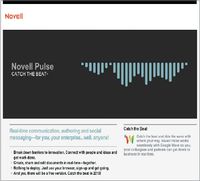 Программный инструментарий Novell Pulse относится к новой волне корпоративных инструментов совместной работы, которые позволяют использовать возможности популярных социальных сетей «потребительского класса», таких как Facebook и Twitter, в профессиональной деятельности, дополняя их функциями обеспечения безопасности и управления, которые требуются организациям