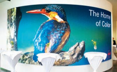 Символом форума стал зимородок — маленькая (всего 40 г), но очень красочная птица. Её популяция сейчас, благодаря усилиям природоохранных организаций, постепенно увеличивается. Обитает птичка по берегам водоёмов, ловко ныряя за добычей в воду, поэтому по-английски называется Kingfisher — королевский рыболов. А ещё есть поверье: встретите зимородка — и он исполнит Ваше желание…