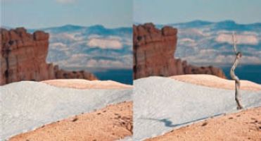 А было ли дерево?