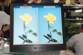 На стенде LG выявлялись достоинства светорассеивающей плёнки Vizuon Diff (слева) со светостойкостью 5 лет