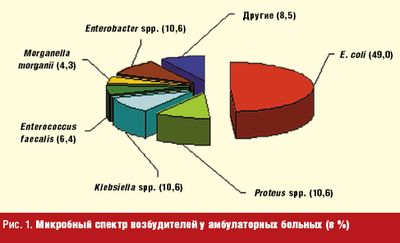 Рис. 1. Микробный спектр возбудителей у амбулаторных больных (в %) Рис. 1. Микробный спектр возбудителей у амбулаторных больных (в %)