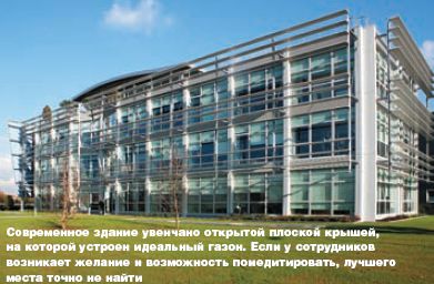 Современное здание увенчано открытой плоской крышей, на которой устроен идеальный газон. Если у сотрудников возникает желание и возможность помедитировать, лучшего места точно не найти