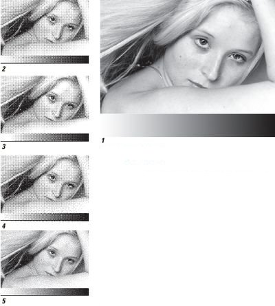 Растрированные изображения в 400-кратном увеличении 1. Оригинал 2. Воспроизведение самых мелких точек при экспонировании и печати с применением АТР подразумевает достаточное разрешение 3. При ограниченном разрешении тоновой диапазон будет урезан, что негативно скажется на целостности изображения 4. Восстановить потерянные высокие света поможет гибридный AM-растр с более крупным размером растровых элементов 5. Альтернативный способ качественного воспроизведения высоких светов предлагает гибридный FM-растр