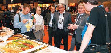 Антон Сапежинский (