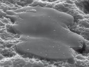 Традиционная CTP-система 2400 dpi слазером 16мкм