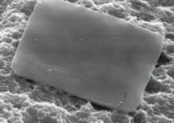 CTP-система SQUAREspot 2400 dpi слазером 2,5мкм