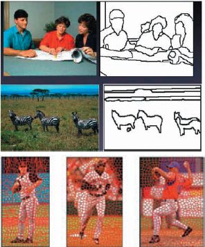 Результаты выполнения различных задач программами автоматической обработки фото