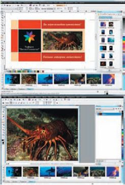 На рисунке показаны общие лотки для CorelDRAW, PHOTO-PAINT и CONNECT