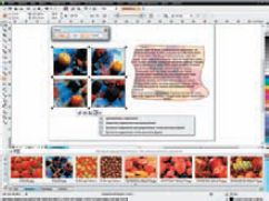 Пример размещения изображения в PowerClip, состоящий из 4-х объектов. Мы видим фрейм неправильной формы, в который помещено изображение с применённым к нему эффектом однородной прозрачности. Этот же фрейм преобразован в текстовый, и уже в него добавлен простой текст
