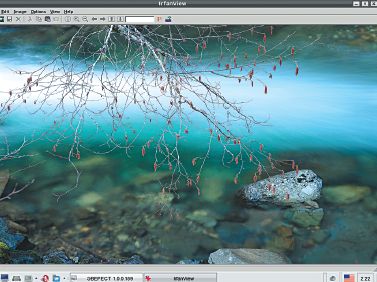 Рис. 5. IrfanView в среде Linux с помощью Wine