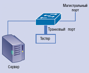 Рисунок 5. Подключение к тегированному или транковому порту VLAN.