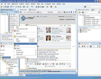 Наибольшее число новаторских решений реализовано в следующих компонентах Fusion Middleware: комплексе для разработки и эксплуатации Web-приложений WebLogic Suite 11g; средстве реализации сервис-ориентированной архитектуры на базе открытой спецификации SCA SOA Suite 11g; пакете для управления идентификационными данными Oracle Identity Management 11g; а также наборе портальных Web-компонентов WebCenter Suite 11g