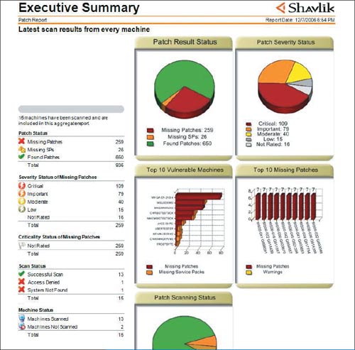 Экран 3. Сводный отчет HFNetChkPro Plus для руководителя