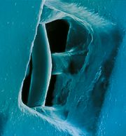 Рис. 11. Технология многократного нанесения эмульсии позволяет создавать формы любой требуемой толщины 