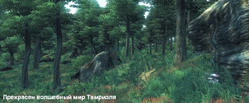 Прекрасен волшебный мир Тамриэля
