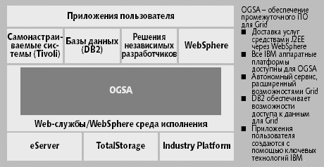 Рис. 3. Среда Grid в вер­сии IBM