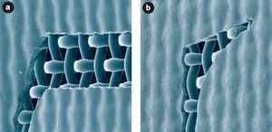 Рис. 10. Трафаретная форма, изготовленная при помощи фотоэмульсии двойного отверждения Saatichem на ткани Saatilene Hitech 120(305).34 PW. а) метод 