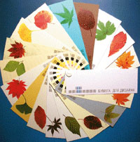 Каталог образцов дизайнерских бумаг от поставщика 