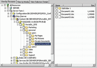 Интерфейс Backup Exec Agent for SharePoint