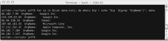 Экран 1. Выполнение команды whois в сценарии Bash.