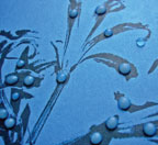 Только не показывайте это заказчикам?— не хватит рук, чтобы сдать такой тираж!