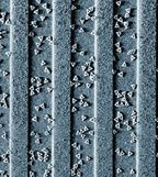 Способность структур ДНК к самоупорядочению является ключевым условием повышения точности проектирования и производства компьютерных чипов