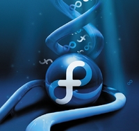 Предлагается сформировать в России локальную команду, которая будет работать в сотрудничестве с основной и создавать решения, специфичные для России