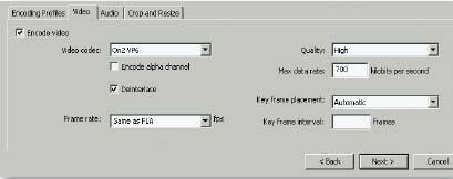 Рис. 6. Вкладка Video диалогового окна Encoding