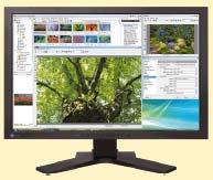 Eizo FlexScan SX2461W