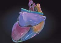 Исследователи утверждают, что пациенты, перенесшие минимально инвазивную операцию по коронарному шунтированию, выполнявшуюся с помощью робота, быстрее выздоравливают, у них бывает меньше осложнений 