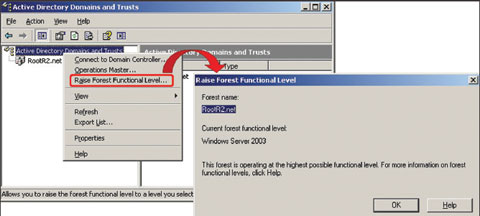 Экран 3. Проверка или изменение функционального уровня леса