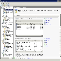 Рис.1 Консоль управления сервером. Управление ролями 