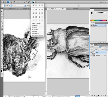 Одним из самых заметных для пользователя изменений в приложениях CS4 стал новый интерфейс на основе закладок. Все приложения теперь могут использовать закладки. Можно открыть несколько закладок одновременно, и все они будут принадлежать одному и тому же программному окну