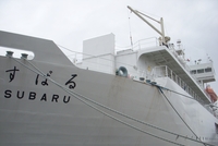 Прокладку нового кабеля осуществляет принадлежащее крупнейшему японскому телекоммуникационному оператору NTT судно Subaru, которое специально было построено для выполнения таких работ 