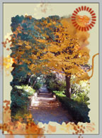 Рис. 7. Взглянем на осень по-новому