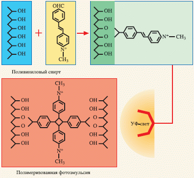 Рис. 9. Реакция компонентов стандартной чистой фотополимерной эмульсии после воздействия УФ-излучения