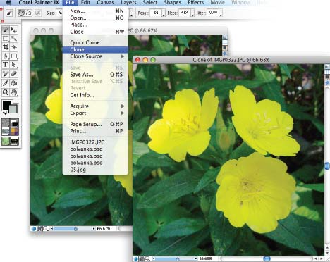 Рис. 2. Клонирование исходного изображения