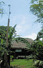 Узел RCP, который можно установить не только на высоких строениях, но и на деревьях и обеспечить электроэнергией от солнечной панели, гарантирует устой?чивую работу с Internet там, где раньше такой возможности просто не было