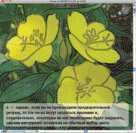 e  —  однако, если вы не производили предварительной ретуши, то эти пятна могут оказаться лишними и, следовательно, некоторые из них необходимо будет закрасить, сменив инструмент штемпеля на обычный выбор цвета 