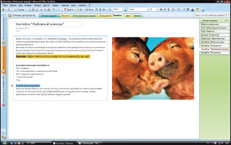 OneNote 2007 — одно из немногих приложений в составе Office 2007, пока не имеющих открытых аналогов